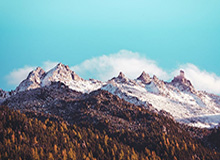 评述：竞技规则只有与胜负相关才有生命力